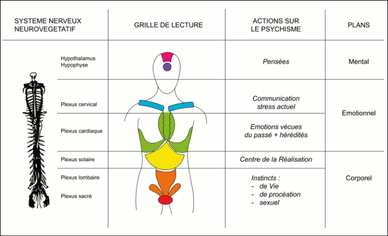 Centres d'Énergie Émotionnelle du corps | Thérapie douce